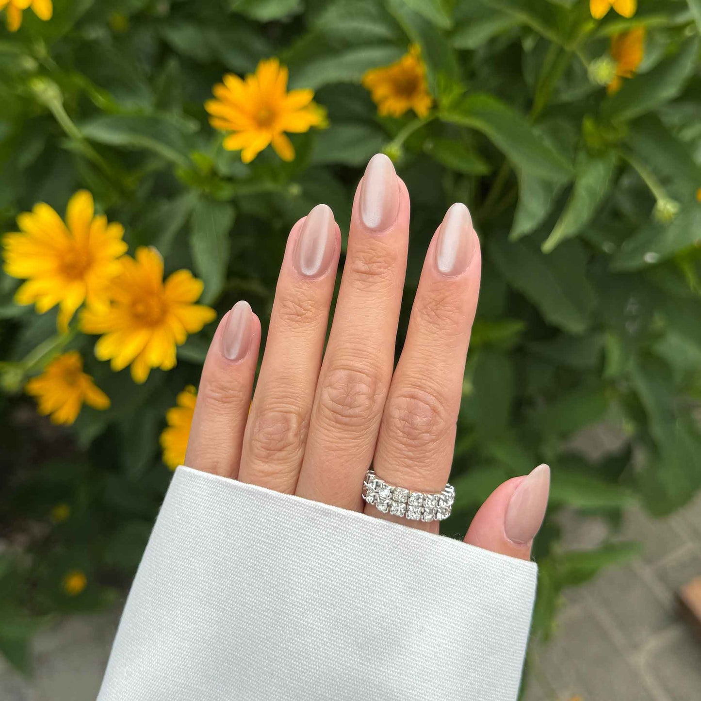 Taupe Illusion