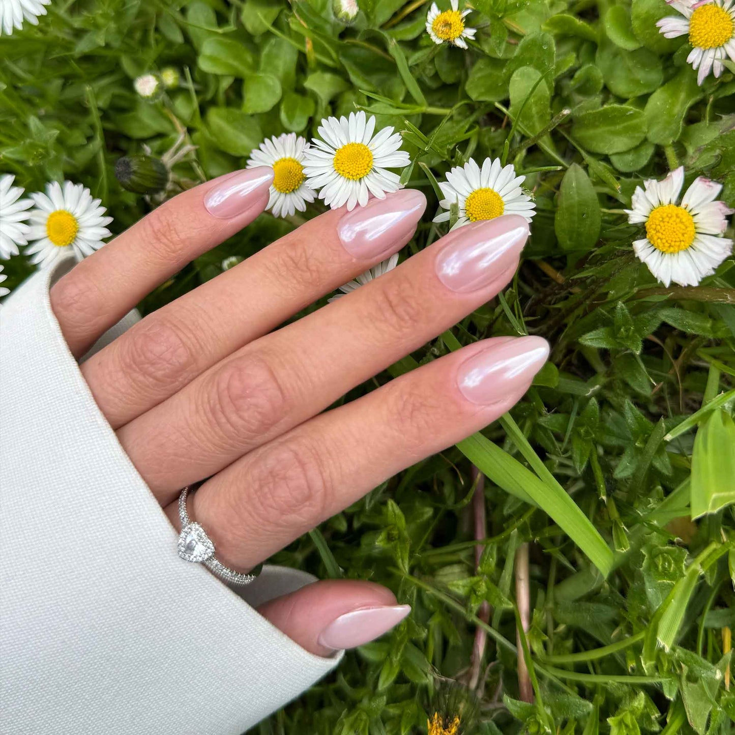 Glaze Check
