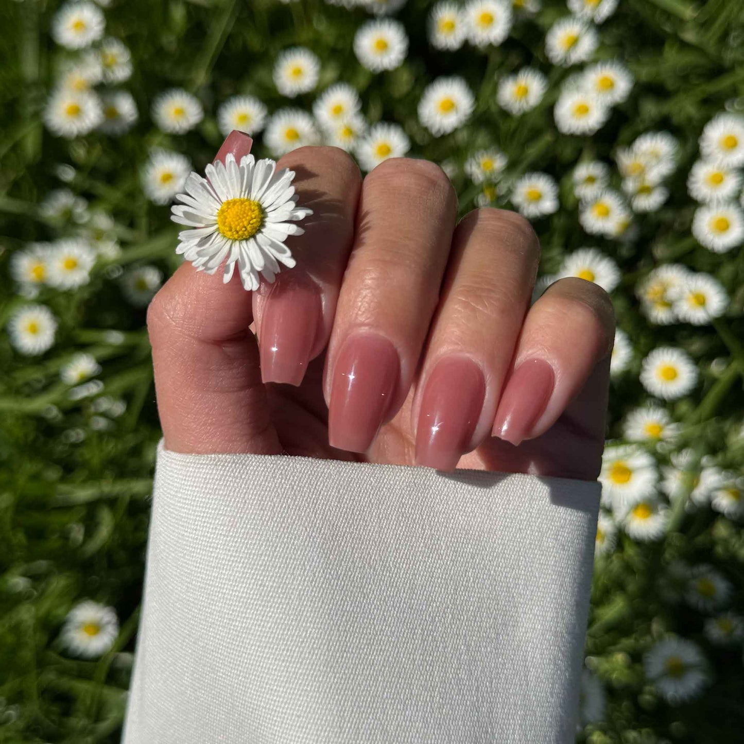Almost Nude