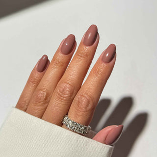 Muted Muse (Bundle)