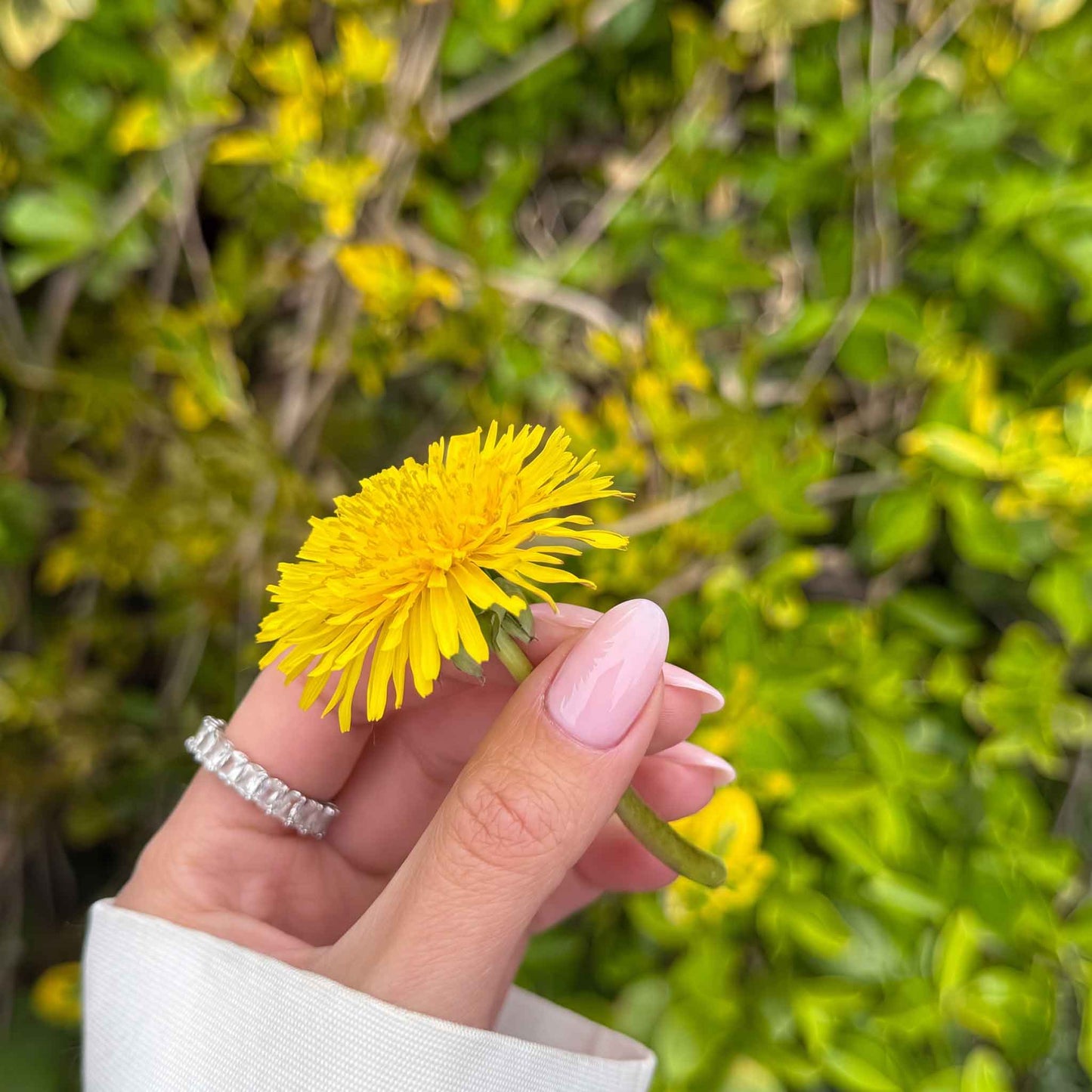 Pinky Promise